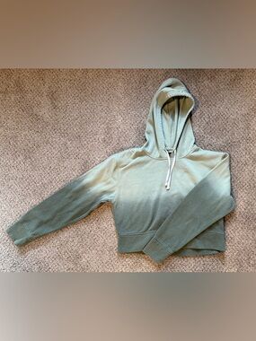 Brooklyn Cloth Cropped Hooded Sweatshirt in Sage Green